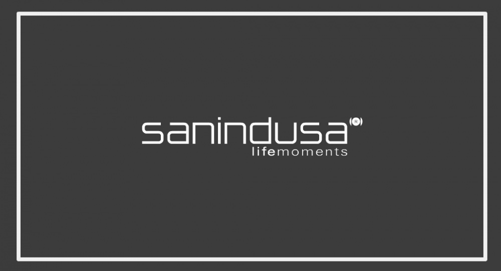 logo sanindusa sanitari